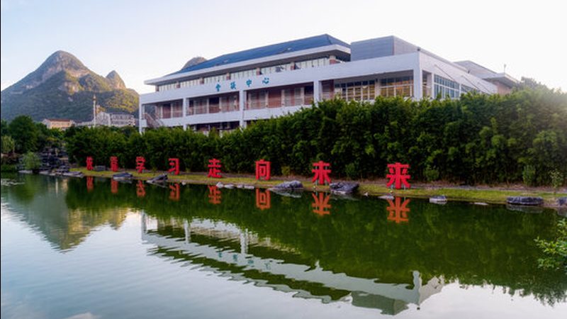 二极管选型：关键参数与适用场景解析**