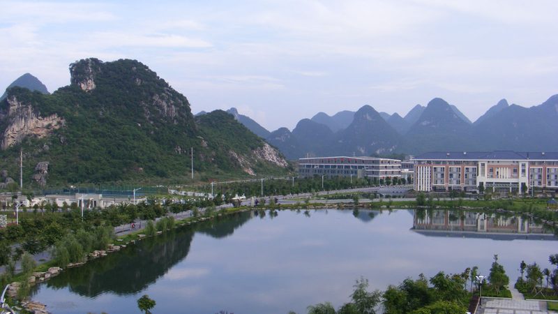 桥式整流电路：揭秘其参数与型号选择要点